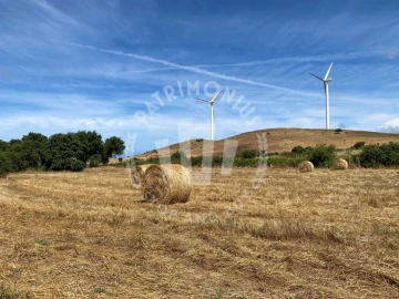 Quinta para Venda em Porto Covo