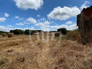 Quinta para Venda em Porto Covo