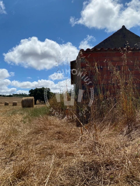 Quinta para Venda em Porto Covo