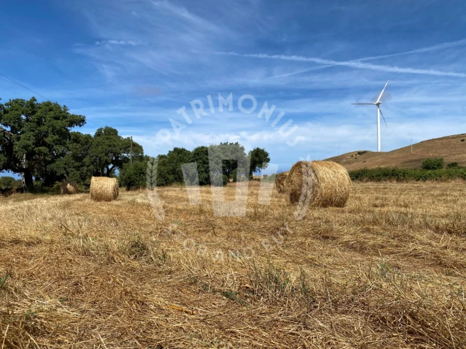 Quinta para Venda em Porto Covo Foto 22