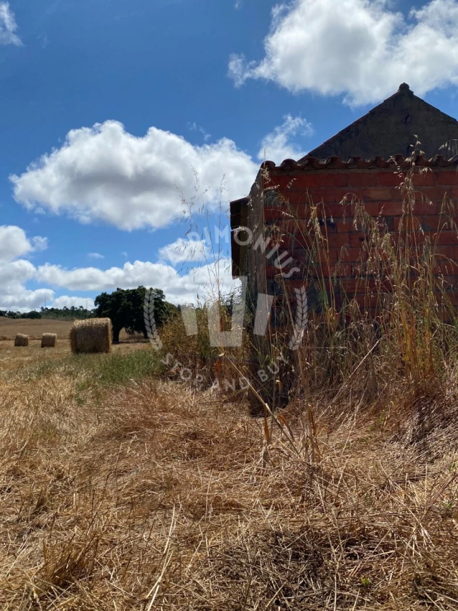 Quinta para Venda em Porto Covo Foto 24