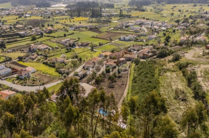 Quinta T6 para Venda em Palmeira de Faro e Curvos