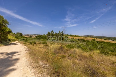 Terreno para Venda em Santiago dos Velhos
