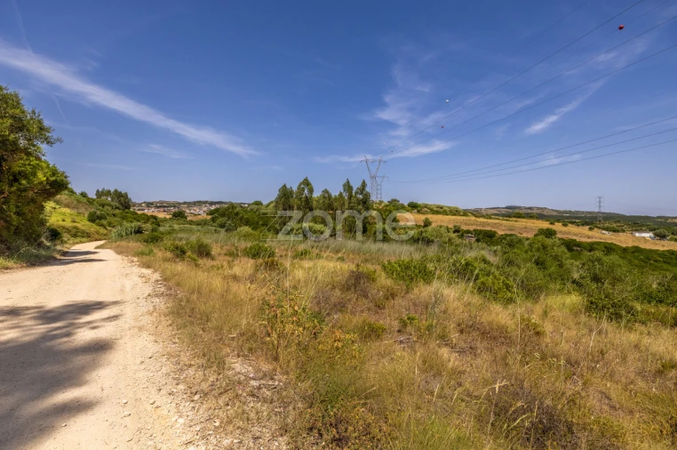 Terreno para Venda em Santiago dos Velhos Foto 4
