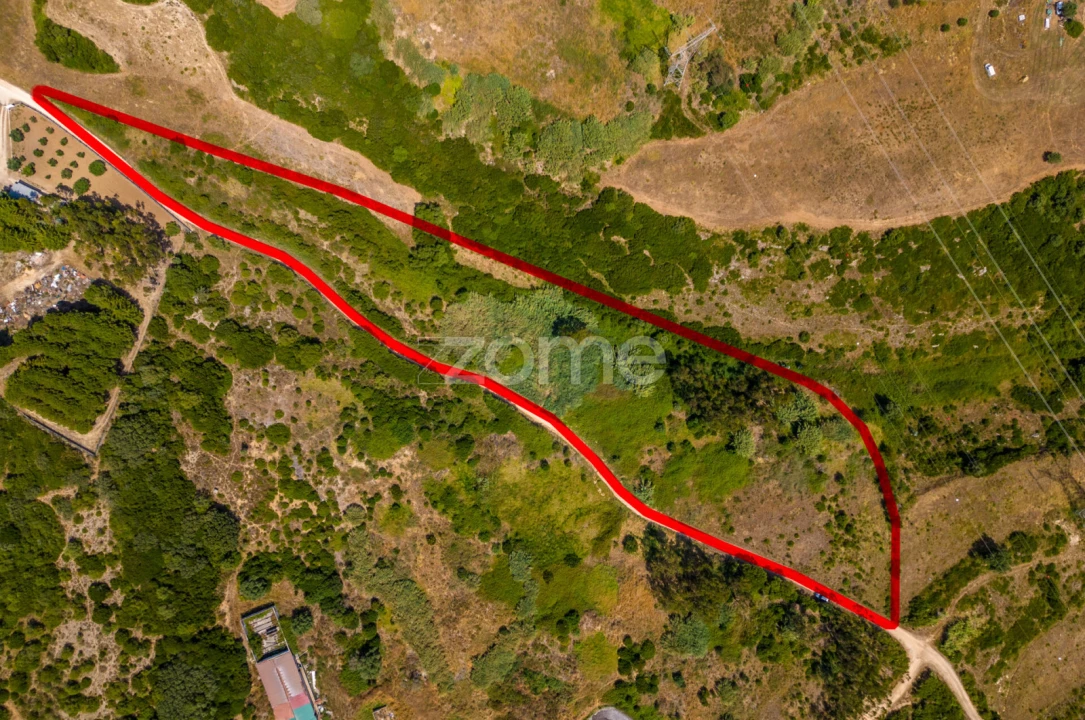 Terreno para Venda em Santiago dos Velhos Foto 13