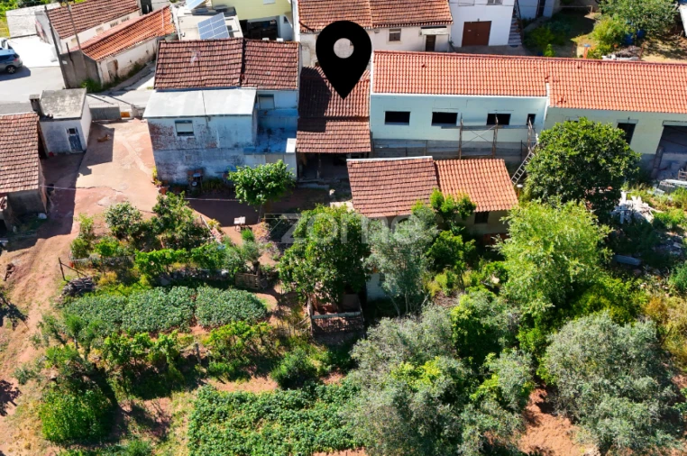 Moradia T1 para Venda em Eiras e São Paulo de Frades Planta 1