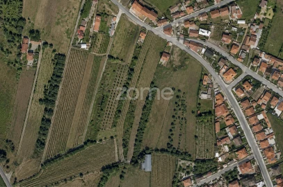 Terreno para Venda em Mealhada, Ventosa do Bairro e Antes