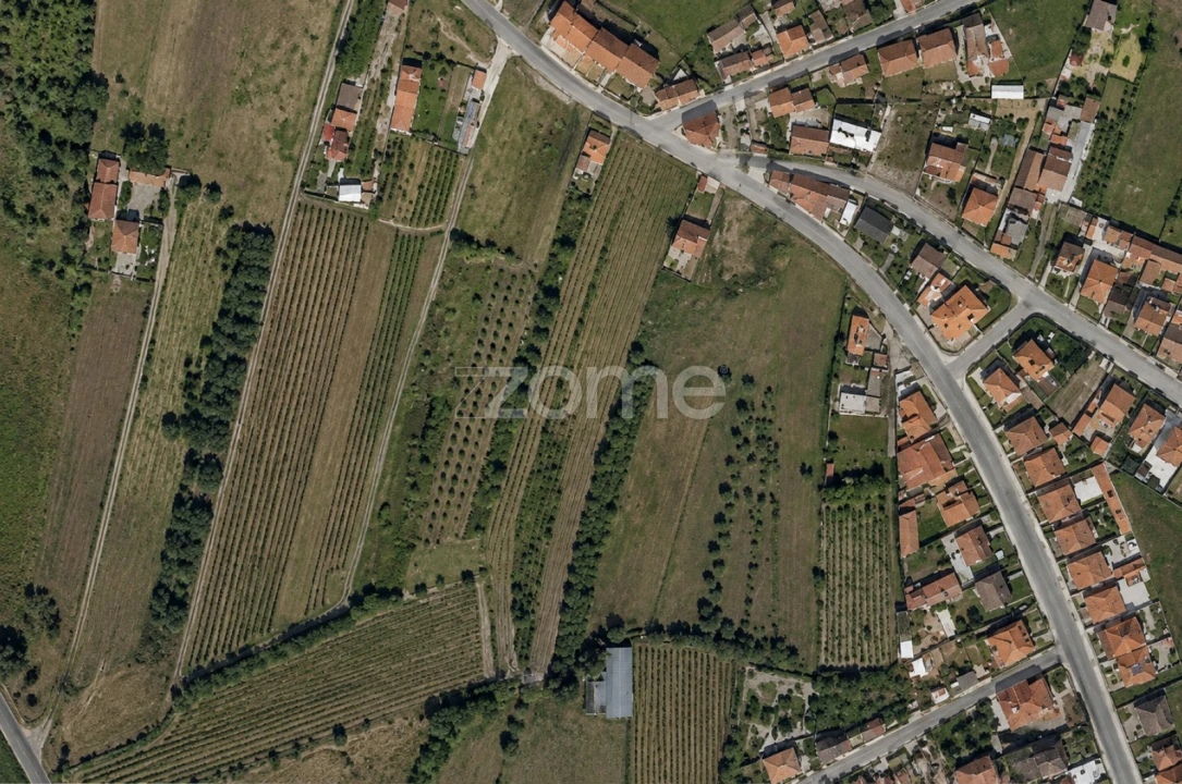 Terreno para Venda em Mealhada, Ventosa do Bairro e Antes Foto 4