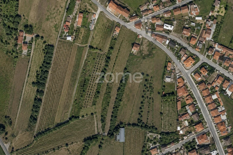 Terreno para Venda em Mealhada, Ventosa do Bairro e Antes Foto 4