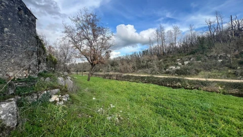 Moradia T3 para Venda em Santiago da Guarda