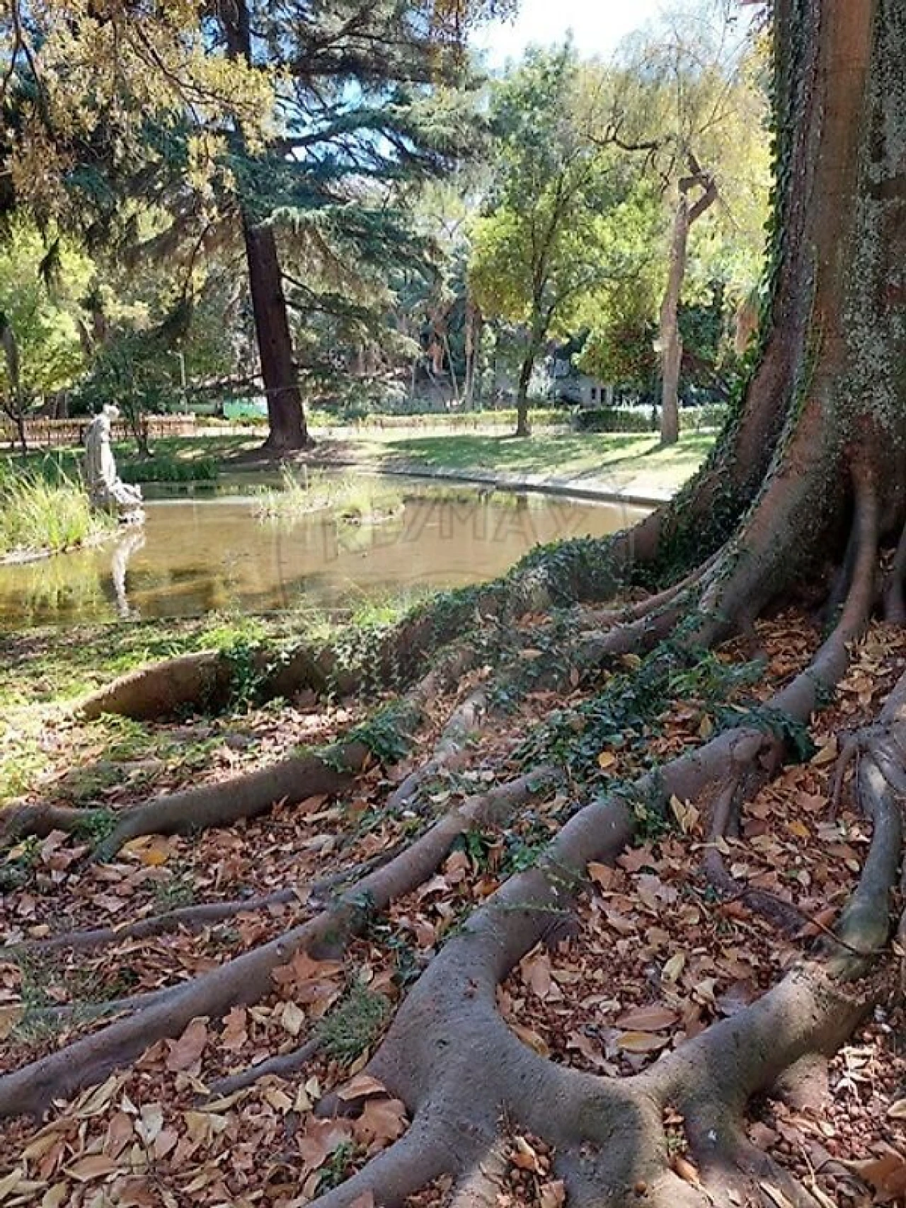 Apartamento T2 para Venda em Estrela Foto 31