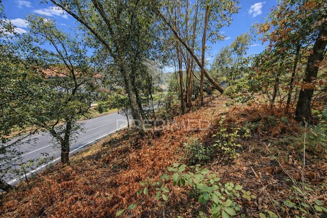 Terreno para Venda em Freiriz Foto 9