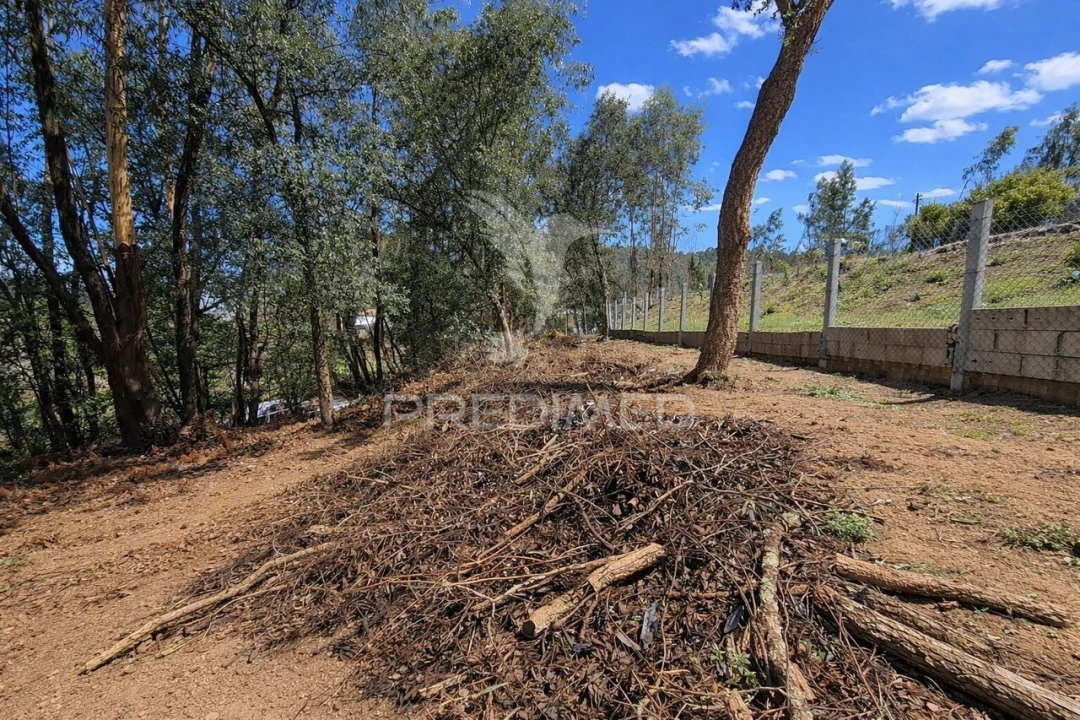 Terreno para Venda em Freiriz Foto 6