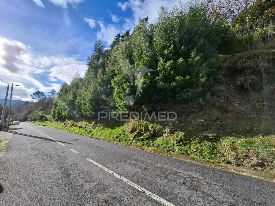 Terreno para Venda em Valdreu Foto 6