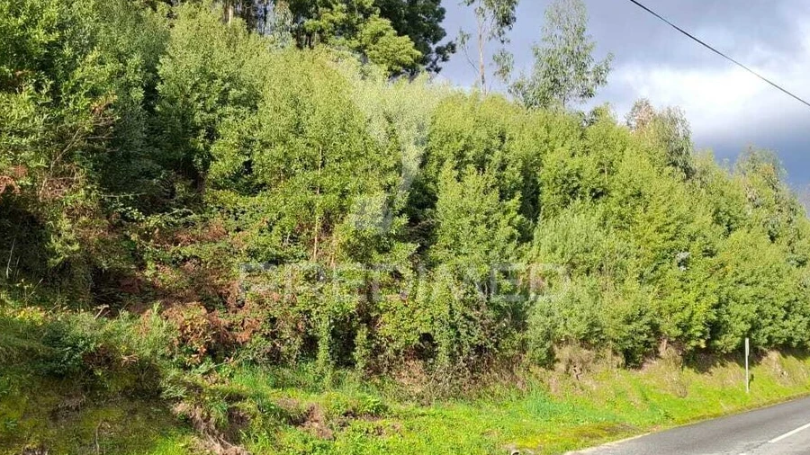 Terreno para Venda em Valdreu