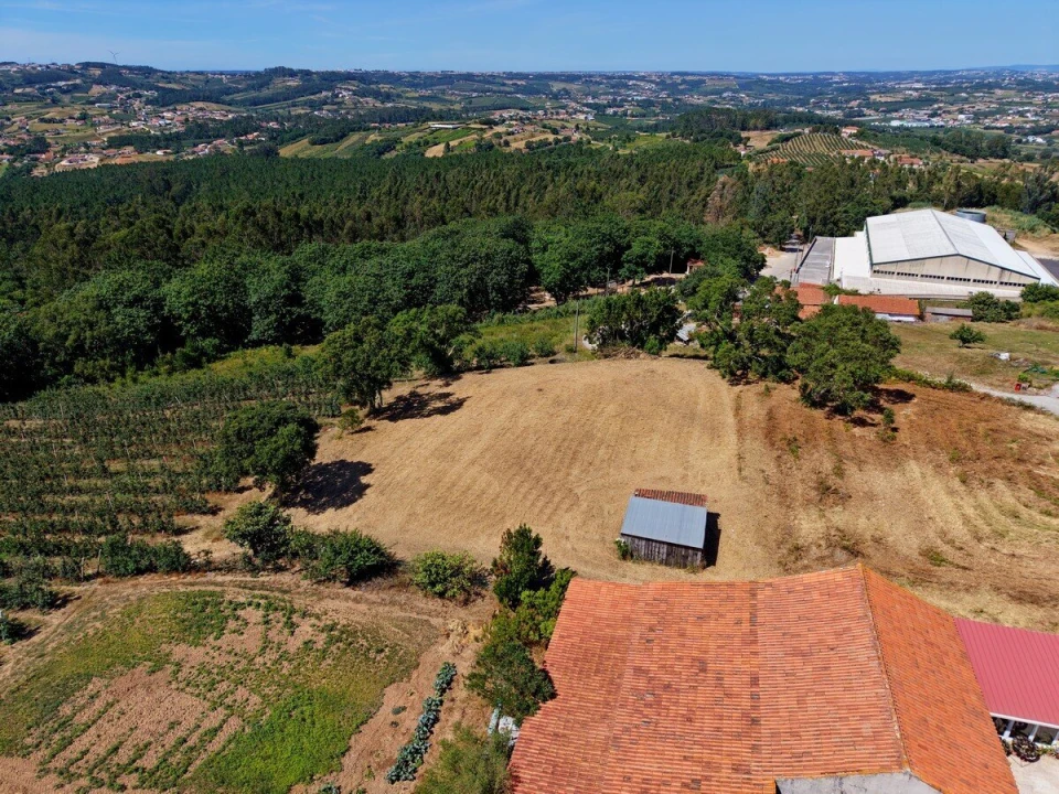Terreno para Venda em Vimeiro Foto 2