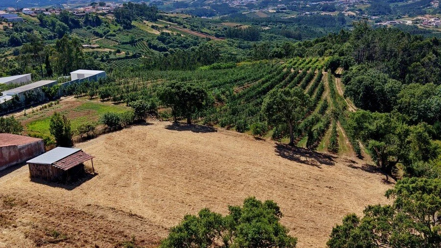 Terreno para Venda em Vimeiro