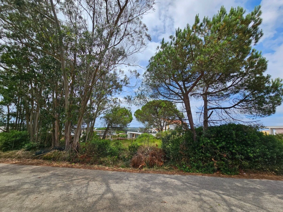 Terreno para Venda em Nadadouro Foto 4