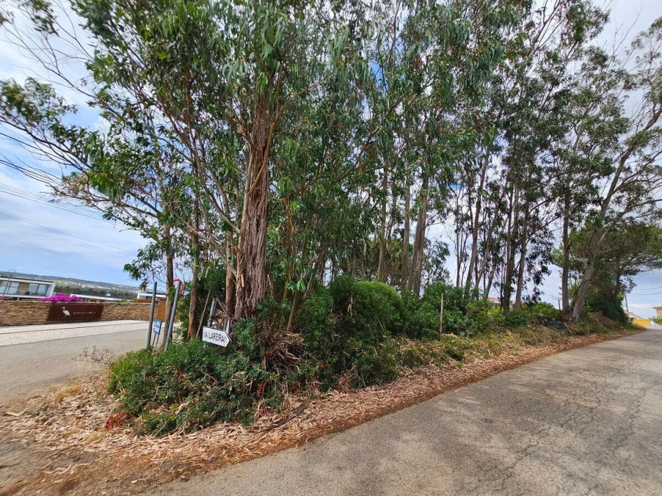 Terreno para Venda em Nadadouro Foto 5
