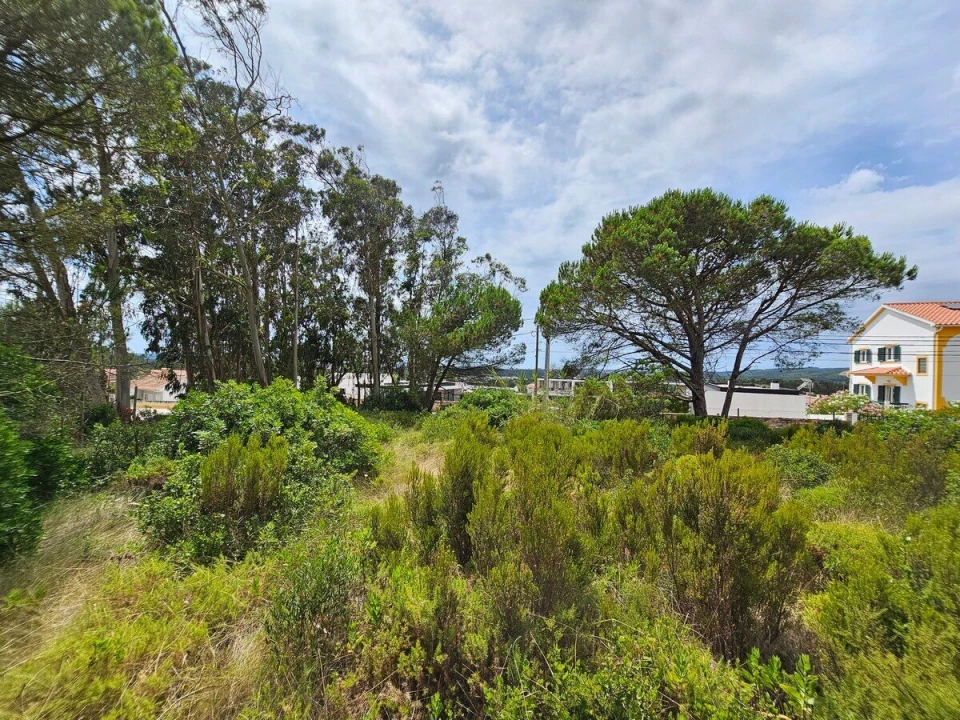 Terreno para Venda em Nadadouro Foto 10