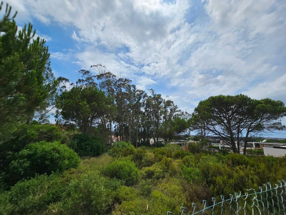 Terreno para Venda em Nadadouro Foto 12