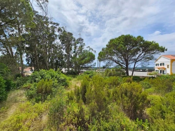 Terreno para Venda em Nadadouro