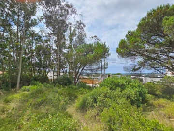 Terreno para Venda em Nadadouro