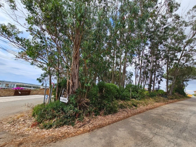 Terreno para Venda em Nadadouro Foto 5