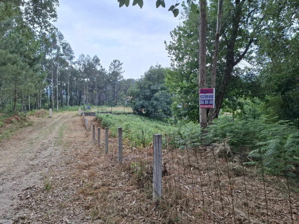 Terreno para Venda em Macieira de Cambra Foto 1