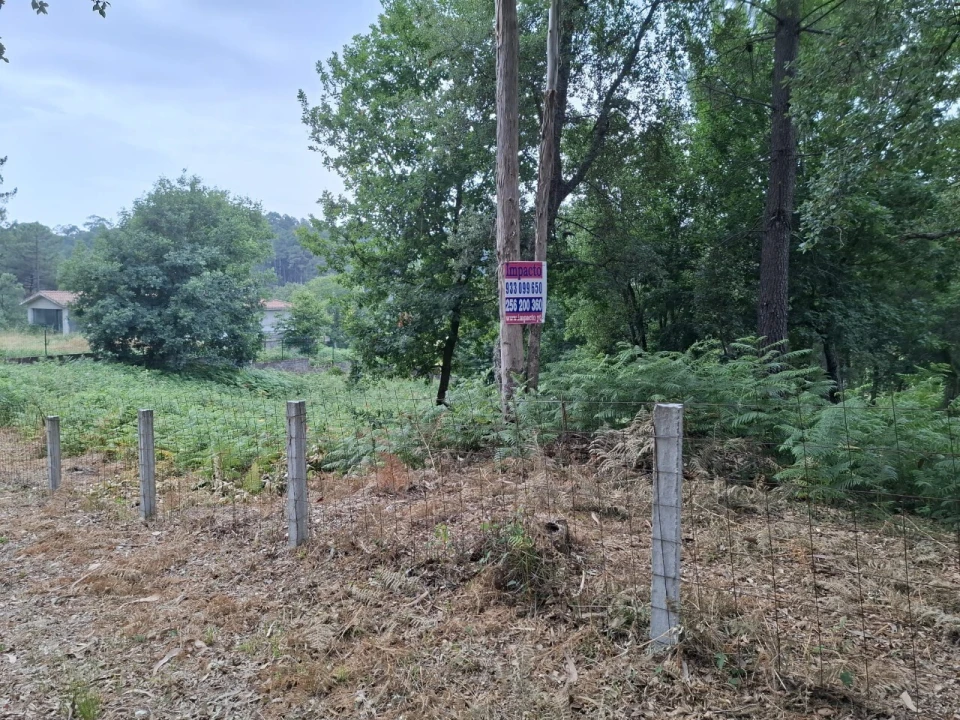 Terreno para Venda em Macieira de Cambra Foto 4