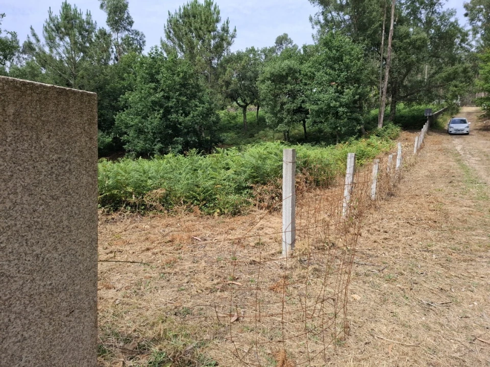 Terreno para Venda em Macieira de Cambra Foto 11