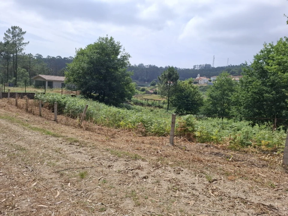 Terreno para Venda em Macieira de Cambra Foto 13