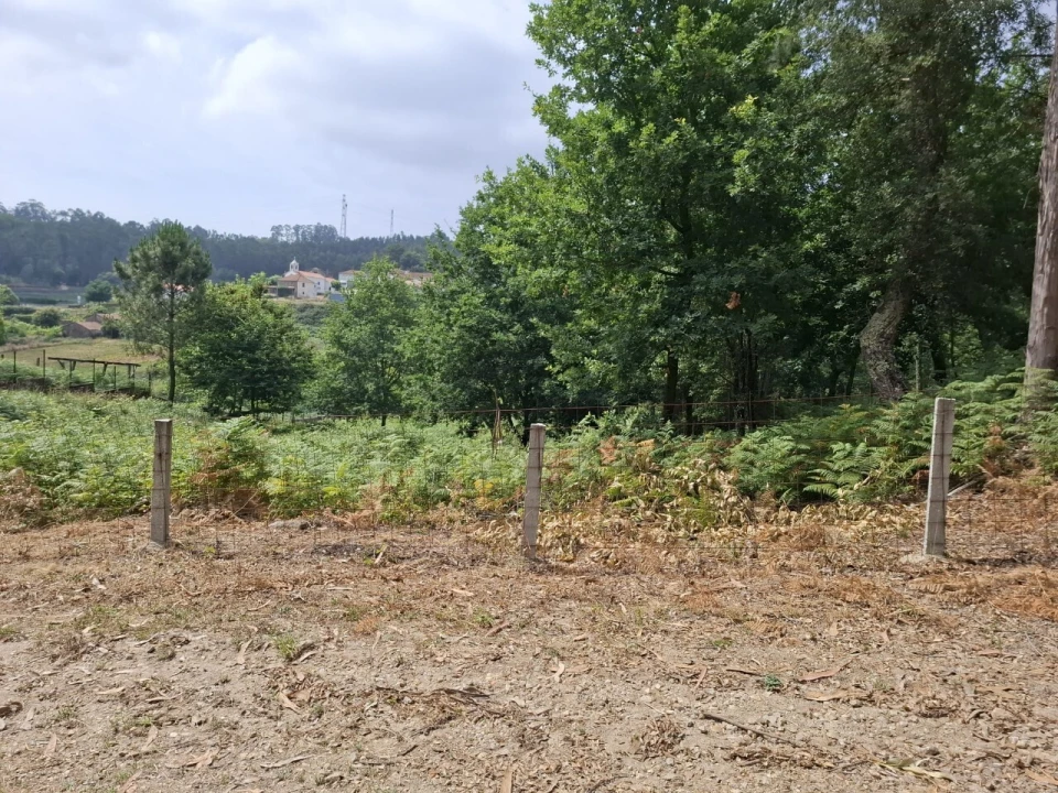 Terreno para Venda em Macieira de Cambra Foto 14
