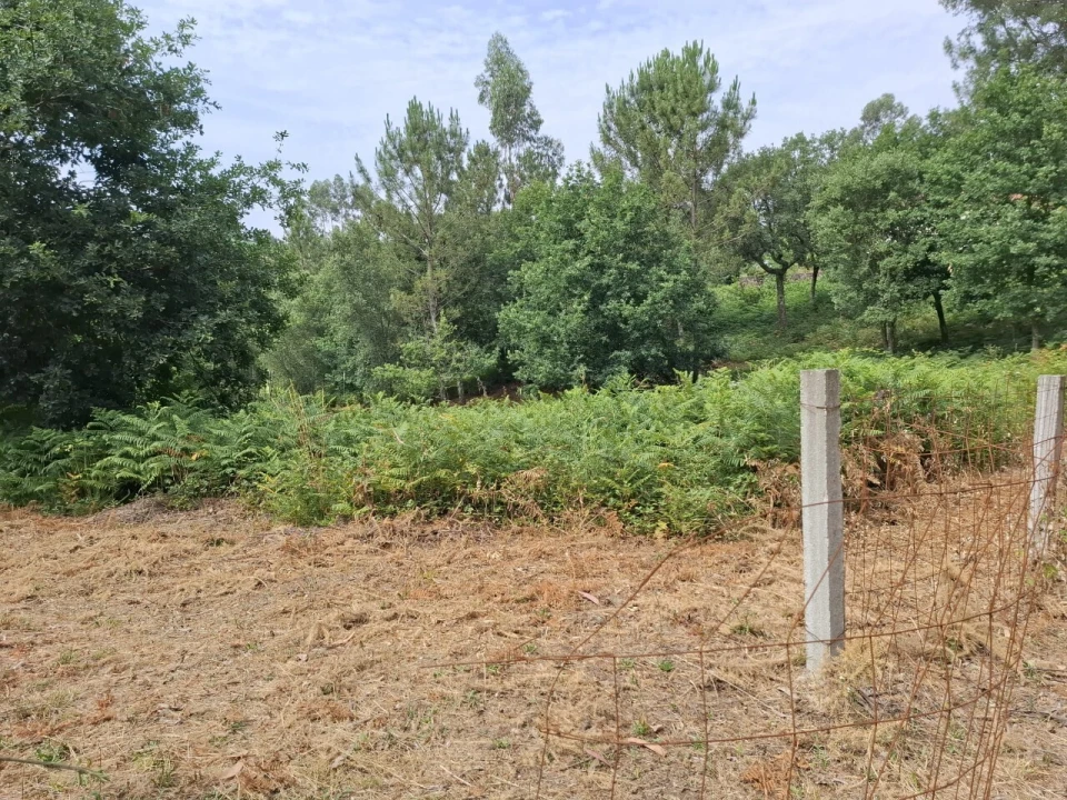 Terreno para Venda em Macieira de Cambra Foto 15