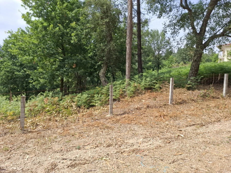 Terreno para Venda em Macieira de Cambra Foto 17