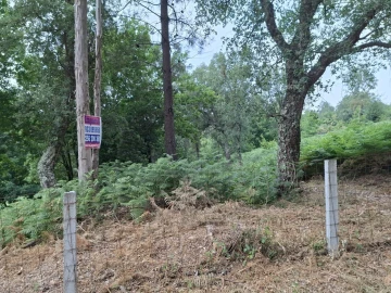 Terreno para Venda em Macieira de Cambra