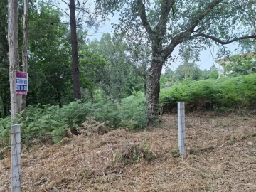 Terreno para Venda em Macieira de Cambra