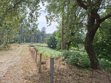 Terreno para Venda em Macieira de Cambra