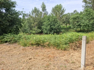Terreno para Venda em Macieira de Cambra