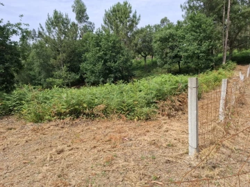 Terreno para Venda em Macieira de Cambra