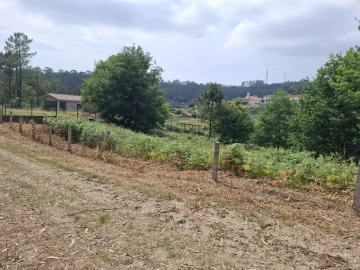 Terreno para Venda em Macieira de Cambra