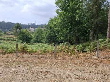 Terreno para Venda em Macieira de Cambra