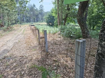 Terreno para Venda em Macieira de Cambra