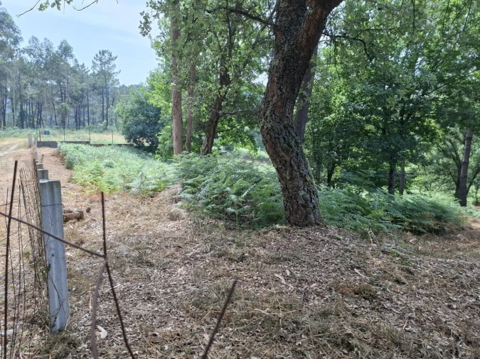 Terreno para Venda em Macieira de Cambra Foto 6
