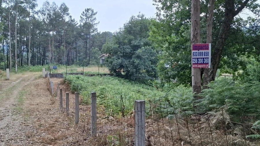 Terreno para Venda em Macieira de Cambra