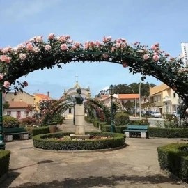 Loja para Trespasse em Ovar, São João, Arada e São Vicente de Pereira Jusã