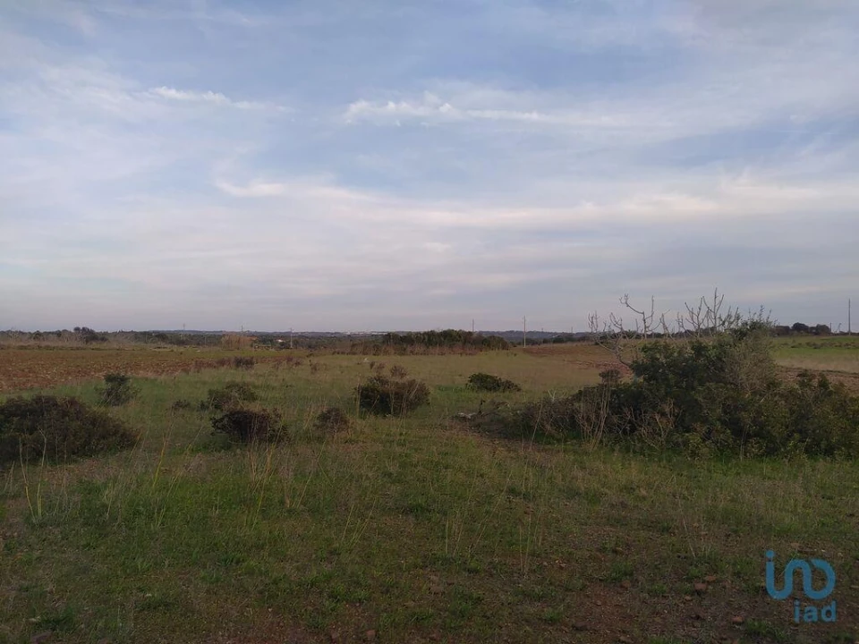 Terreno para Venda em Barão de São Miguel Foto 13