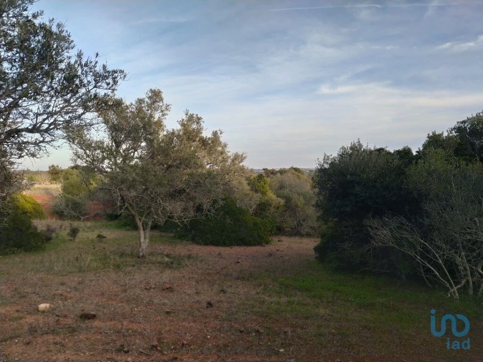 Terreno para Venda em Barão de São Miguel Foto 1