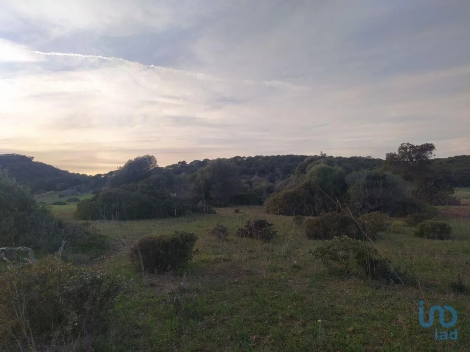 Terreno para Venda em Barão de São Miguel Foto 8