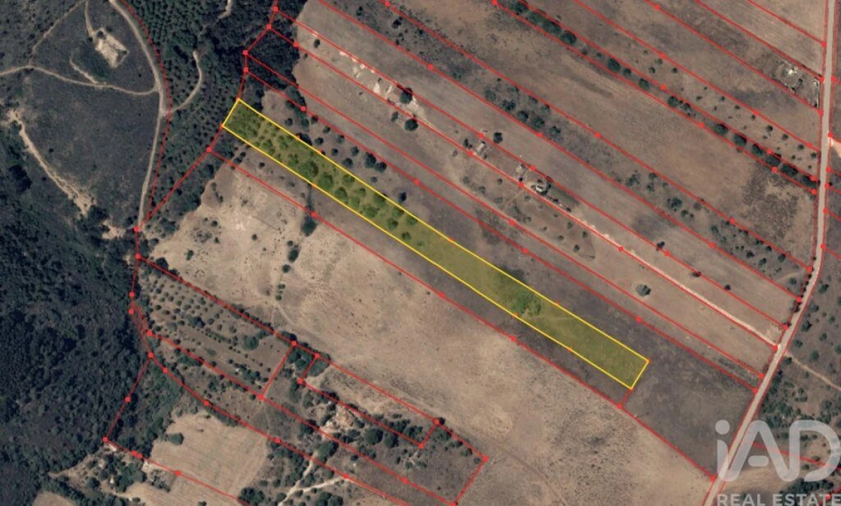 Terreno para Venda em Barão de São Miguel Foto 17